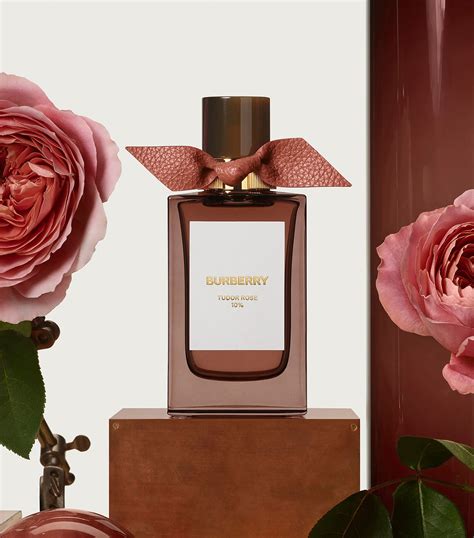 burberry tudor rose perfume.